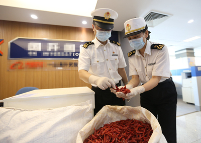 中非經貿博覽會 合作成果豐碩，攜手共譜發展新篇